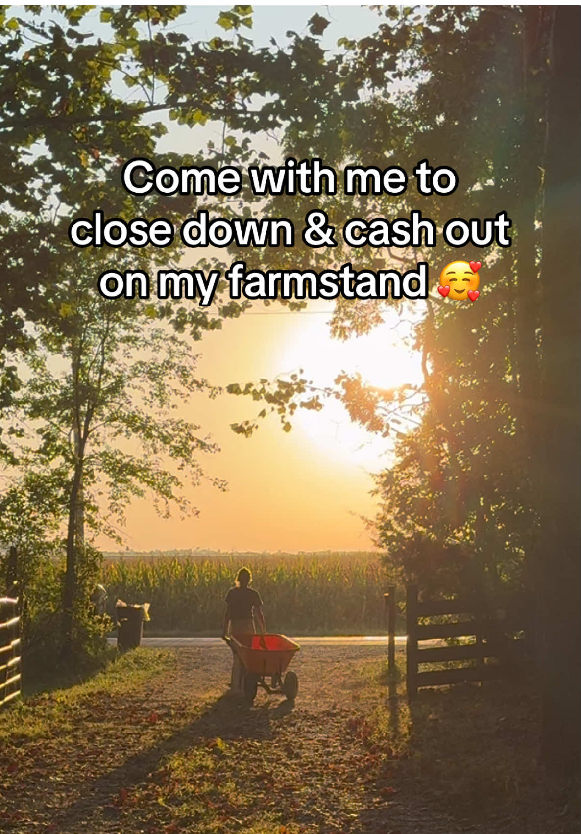 How much did I make today at my farmstand?? Did everyone pay??? 🫣 let’s find out! #farmstand #selfservefarmstand #honorsystemfarmstand #microbakery #homesteadlife 