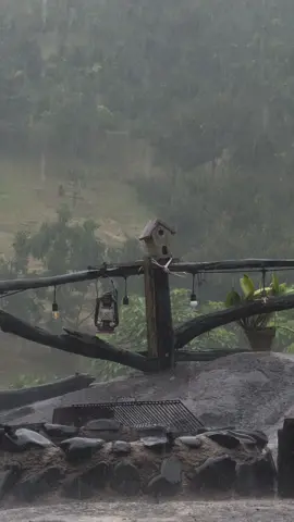 Bảo Lộc hôm nay lại mưaaaa… #cocfarmstaydanggia #baoloc #mua 