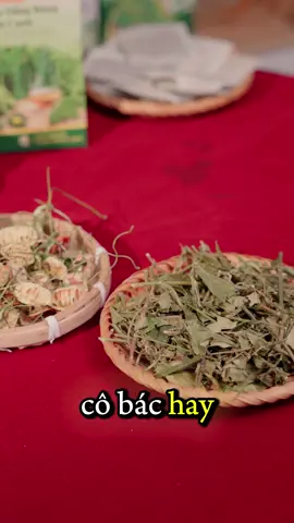 Liệu uống trừ mướp đắng rừng thìa canh có bị tụt đường huyết quá mức không?#trathaomoc #viral #suckhoe #tiemtraanthao #tieuduong 