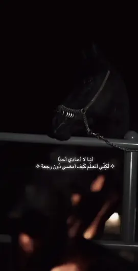 #قوة #كبرياء #شموخ #رحيل 