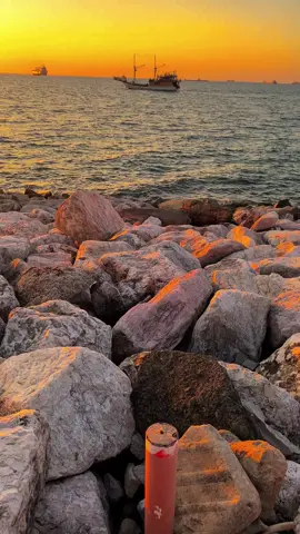 Aku masih ada disini🕊️#senjasudutkota #senjavibes #senjasadvibes #fyp 