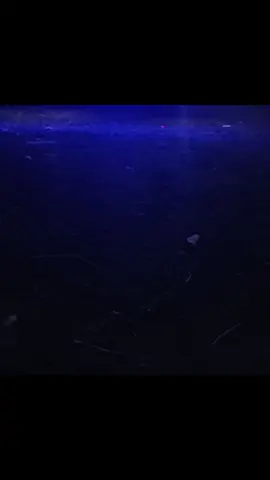 #mesias🙏♥️😎😎 #RUTA37👻😎😌 #mesias😎😎✌️💯👀🔥 #🤣🤣🤣🤣🤣🤣🤣🤣🤣🤣🤣🤣🤣🤣🤣🤣 @𝑭𝑬𝑹𝑵𝑨𝑵𝑫𝑶 @La Pucca❤️ @CRISTIAN POCASANGRE @Gerardo @Levy Lopez @el panda h100 @LUJOS TRUCK 🇸🇻ES☝️ @Edwin Esquivel @Miguel Angel @Alexander @Pickup Joya Grande😎❤️ @༄𝙎𝙤𝙡𝙤 𝙆3000𝙨♡彡 #R37😎😎✌️