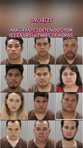 #tiktok #viral #tennessee #florida #chicago  inmigrantes detenidos por lCE en las últimas 24 horas