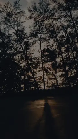 🎧🎶 #songlyrics #fyppppppppppppppppppppppp #fyp 