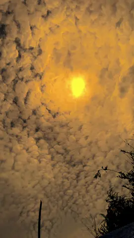 #quotes #arabicsong #arabic #langitaesthetic #fyp 