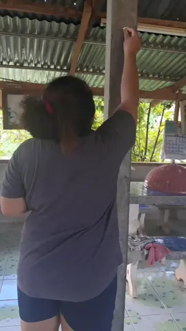 #จอมยุทย์หงต่ํากับแม่นางหงตี่ #นกกระทา 