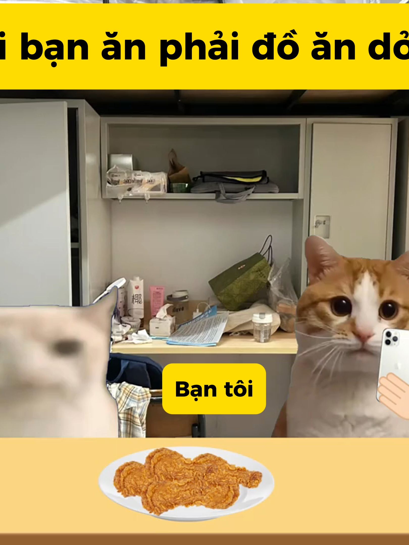 Chia ngọt sẻ bùi... #catmeme #meo #funny #viral #fyp #meme #meovotrimeme #food