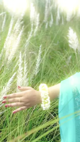 প্রকৃতির সবকিছুর মাঝে কোন না কোন সৌন্দর্য লুকিয়ে থাকে। যেমন কাশবনে আছে আকৃত্রিম সৌন্দর্য 🥹…. #foryou #kashful #video #gril #foryoupage 