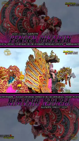 Pengen Dikawin - Voc. @oting_reall10 #promoseruweekend #fypp #OraIJOraFyp #fyppppppppppppppppppppppp #zonaparty #singadangdut #singadangdut #indrajayaofficial #indraajayaoffcial #fypage 