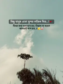 মনে হয় বিশ্বাস না করলে আমারই পাপ হবে..!!🤡 #fyp #foryou #foryoupage #trending #viral 
