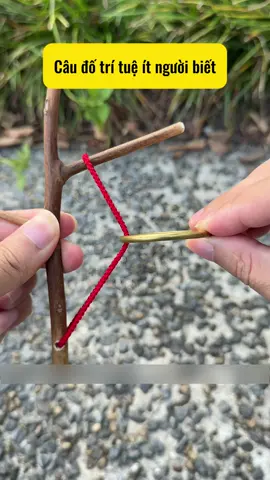 Đồ chơi trí tuệ trung quốc phần 40 #dochoitritue #dochoithongminh #fyp #xuhuong 