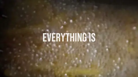 the loml #potatos #fyp 