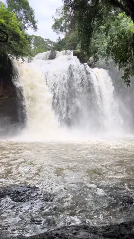 #เขาใหญ่ 🌤️🍃🦋
