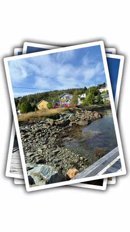 Brigus Newfoundland Canada. September 18, 2025 #brigusnewfoundland #brigusnl #nltourism #livingmybestlife #seaside 