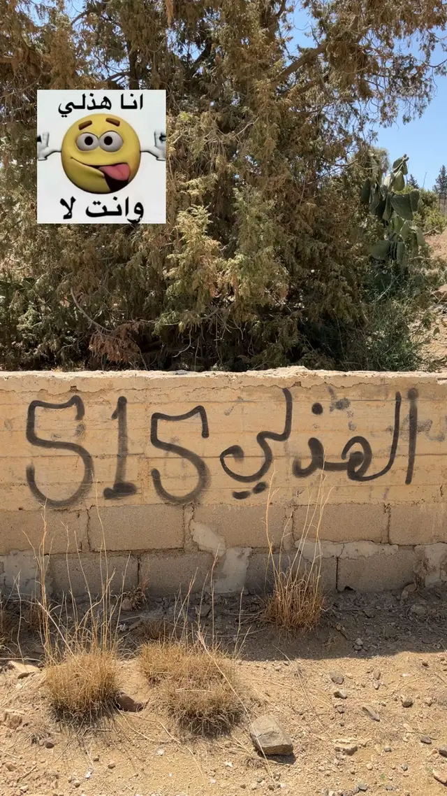 515❤️‍🔥 #هذيل #عسكرالبارود515 #الشفاء #fypageeee #fypシ゚viral🖤tiktok 