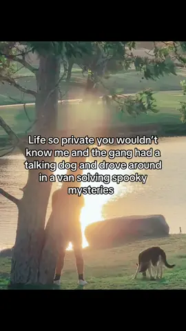 👻 #fyp #dog #scoobydoo 