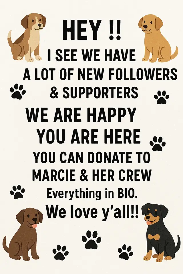 Amazon WISHLIST & GO FUND ME IN BIO 🩷 -If you want to send me something my Venmo is in the bio. I also love AMAZON GIFT CARDS.  -thanks everyone. Yall have not only supported me and Marcie but her crew as well. BLESS YOU ALL !!  #fyp #dogs #dogsoftiktok #viral #rescuedog 