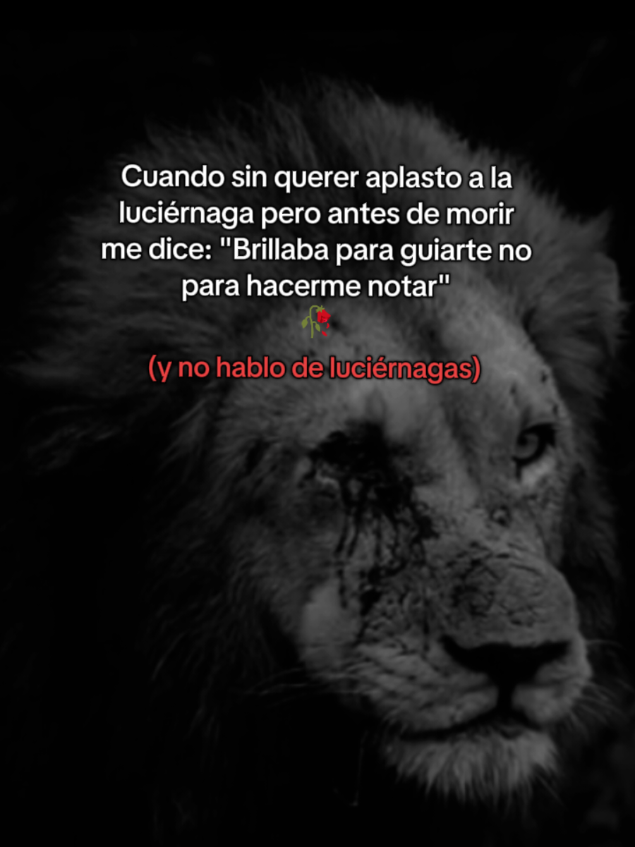 Y no hablo de luciérnagas...❤️‍🩹 #paratii #frasesdenoche #pageforyou #frasesdetodo #viralvideotiktok 