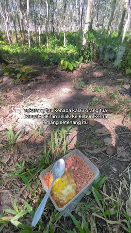 tempat ngadem ternyaman si #petani #petanimilenial #petanimuda #petaniindonesia🇮🇩🇮🇩🇮🇩🌿🌿 