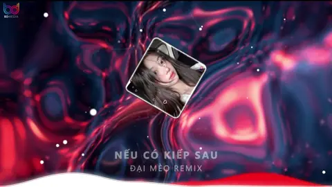 Nếu Có Kiếp Sau Remix | Cuộc đời có mấy khi trọn vẹn như ta nghĩ Remix #tuananhmusic #nonsstop #nhachaymoingay #fypp #xhtiktok 
