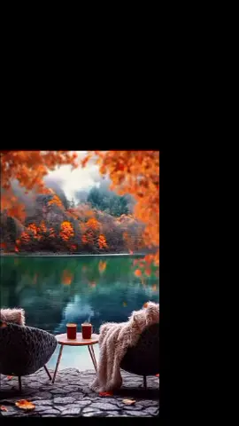 #Yarpaqların hamısı ağacı tərk edib düşür, Ağac əyilmir,sınmır səbrlə baharı gözləyir . Ağac kimi olun .....