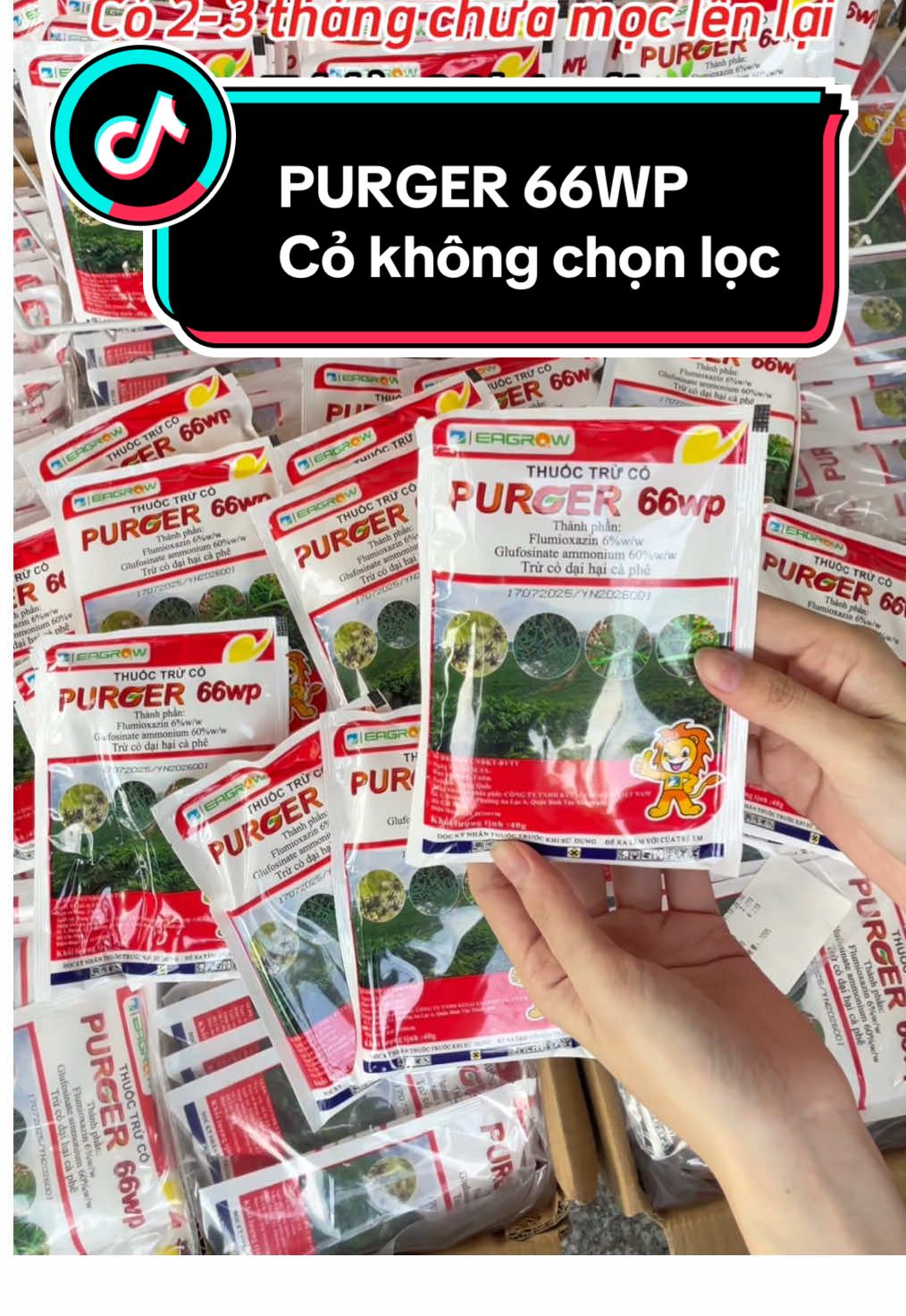 Purger 66wp trừ cỏ không chọn lọc, cỏ 2-3 không mọc lại, cỏ trabh, cỏ chỉ, cỏ cú, cỏ mần chầu, rau mương, rau bợ, cỏ chác, cỏ lác,... #purger66wp #kesai #cotranh #cochi #comanchau #raumuong #raubo #65cantho #62longan #63tiengiang #64_vinhlong #66đồngtháp #67angiang #68kiengiang #70tayninh #47daklak #84travinh #83soctrang #vtnncohai 