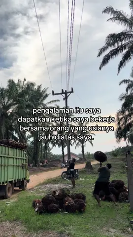 😇#kulisawit #tukangmuatsawit #sawitontiktok #storysawit🌴🌴 #petanisawit🌴 