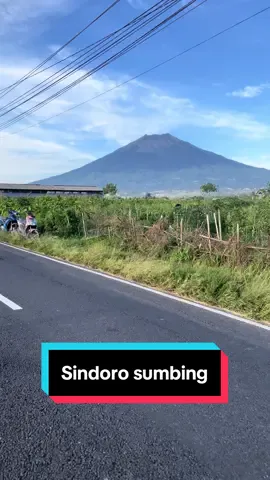 Disuatu pagi yang cerah dengan pemandangan gunung sindoro dan gunung sumbing yang terlihat jelas banget ⛰️⛰️🍃🌿🌲 #PemandanganGunung #gunungsindoro #gunungsumbing #sindorosumbing #mountainview     