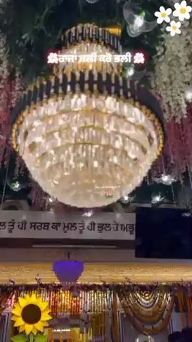 #mazaranauabad🌺❤️❤️ #jairajasahibji #jai  #jairajasthan #jairajasahibji                    