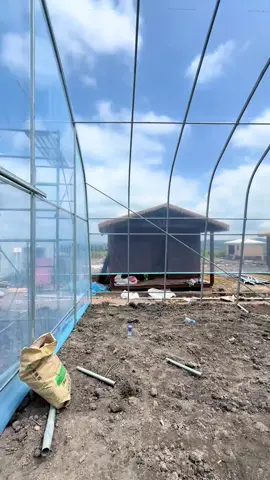 #Greenhouse #GreenhouseFilm 