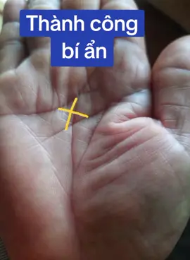 #viralvideo #lenxuhuong #xemtay 