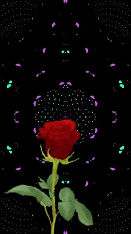 #CapCut #madrecita #guadalupe #🙏🙏🙏🙏🙏 #🥀🥀🥀🥀🥀🥀🥀🥀🥀🥀🥀🥀🥀🥀🥀 