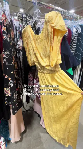 If the SLP Goodwill has no haters I’m dead 💀 #vintagedresses #goodwillfind #thrifttok #beadeddress #warisover @Goodwill Industries Intl. @GoodwillMN 