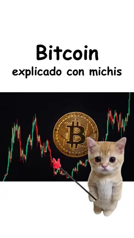 Bitcoin explicado con michis