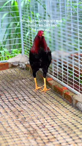 7th 2kg5 thần thái tốt quá  Sau này ko biết sao  Ae xem vui #truongdaibienhoa #c2 #c3 #c1 #f9 