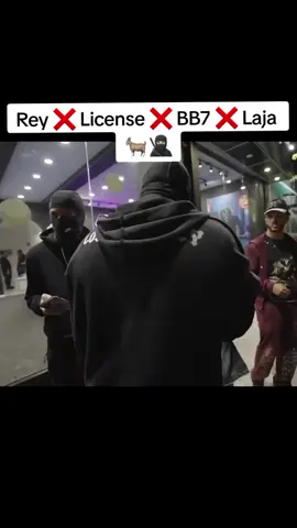 #reydelacity #license #laja #bb7 #kick  @ReyDeLaCity @License @LAJAOFICIAL @SoyBB7 