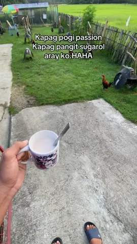 #jjfatherandsonGF #batangsabungero❤️🐓 #fyppppppppppppppppppppppp 