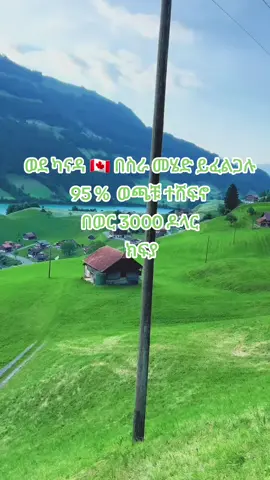 #ኢትዮካናዳ🇪🇹🇨🇦 #candaworkvisa #0931307060 #ormiyaatiktok💚❤💚❤💚 