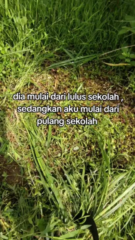 #sobatngaret #ngarit #fyp #peternakdomba 