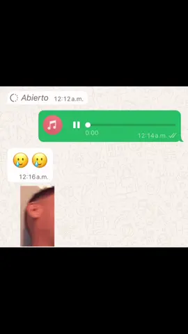 #audiosdewhatsapp #dominicano #humortiktok #contenido #meme_ntiste 