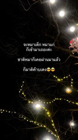 ได้หมดอ่ะ#สตอรี่ #สตอรี่ความรู้สึก #เธรดความรู้สึก #ฟีดดดシ #fyp 