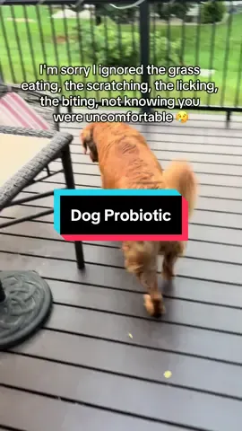 #dogprobiotics #petlabco #doghealth #dogs #tiktokshoprestock 