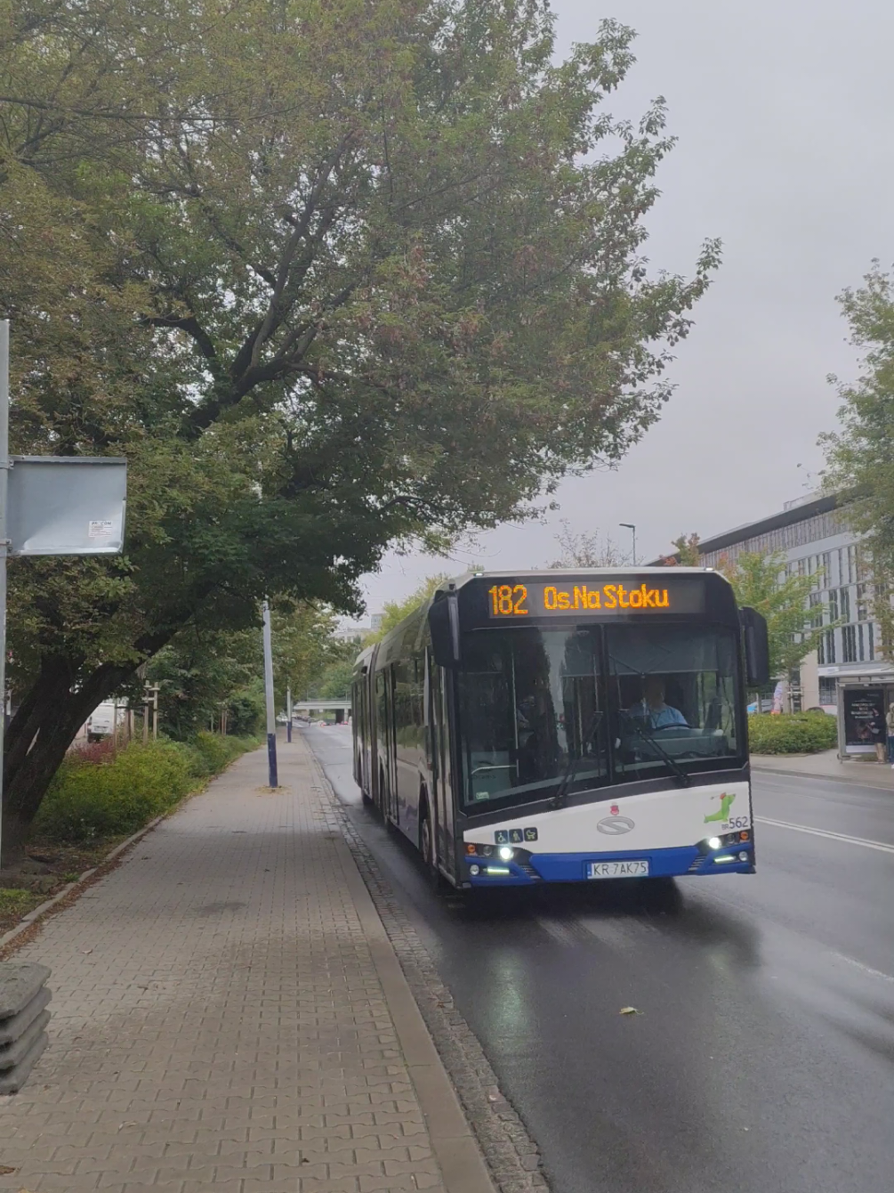 Dzień 253 | Karton na 182 + fotka w kom 😍🔥 . Pozdro dla kierowcy 👋💡 . #182 #solaris #autobus #kraków #ztp  . @Krakowska Komunikacja  @mkm_tomek🚍  @🔥 Fanpage_513_krk 🔥  @mkm_Daniu  @🫡Komunikacyjny_Rozbójnik🫡 @Komunikowy&Mikolingowy Patryk  @Krakowski_Transport_Miejski🔥 @tramwajowymaruder    @Nikidemem  @Fanpage_274_784_253  @IG: wiktorek_kmk | (307 😻)  @🚌 MPK SEBASTIANOWO 🚌 