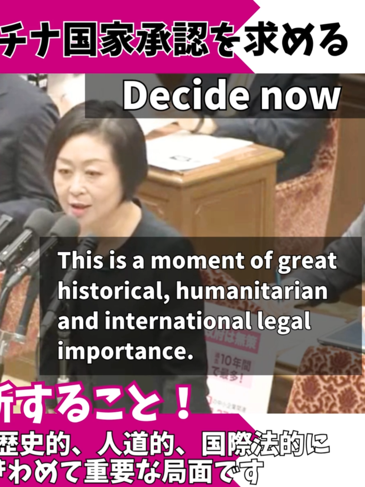 2025年9月19日 くしぶち万里さん、22日からの国連総会でパレスチナ国家承認を 政府に求めました。 ##れいわ新選組 #くしぶち万里#stopgenocide #freegaza