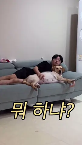 현장 포착