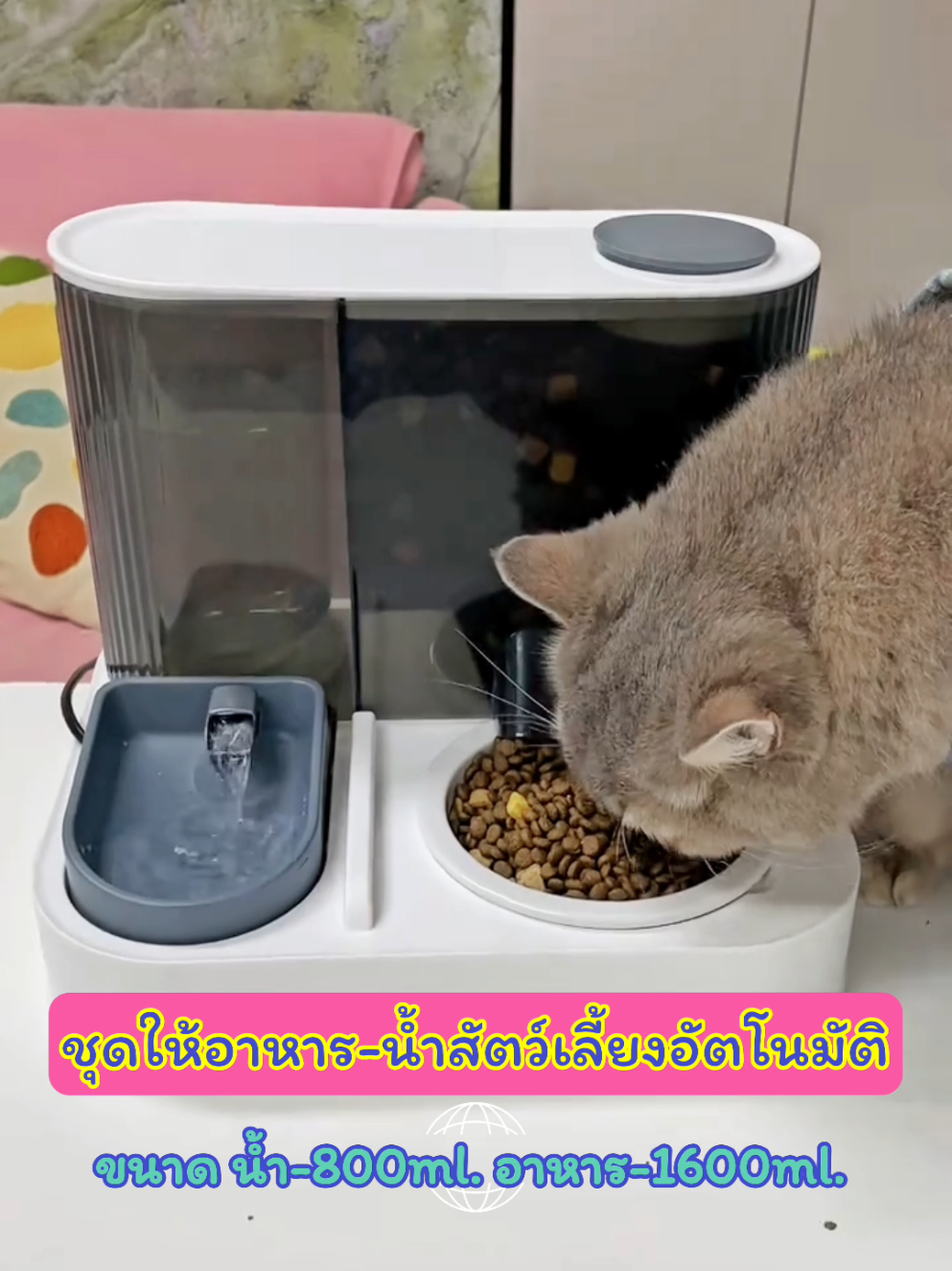 เครื่องให้อาหารให้นำสุนัขและแมวอัตโนมัติ #เครื่องให้อาหารอัตโนมัติ #เครื่องให้น้ําและอาหารแมวอัตโนมัต #ที่ให้น้ําแมว #ที่ให้อาหารอัตโนมัติ #ของใช้แมว 