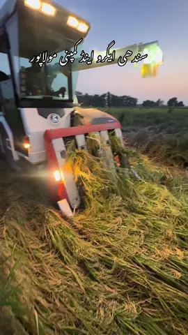 میرا-سوہنا-پنڈ-مولاپور-ضلع-قصور🌾🌅🌴🌱🍂 #KubotaWR572 #RiceHarvester #KubotaHarvester #KubotaMachine 