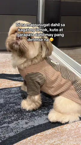 long lasting defense kaya di na nagkakasugat 🥰 