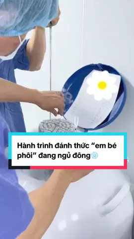 Hành trình đánh thức “em bé phôi” đang ngủ đông của ba mẹ, để bác sĩ Hạnh đưa con về với mẹ nào. Mong con bám mẹ thật chặt nha❤️ #thạc_sĩ_bác_sĩ_Hồng_Hạnh #ivfhongngocyenninh #ivfhongngoc #radongphoi #ivf 