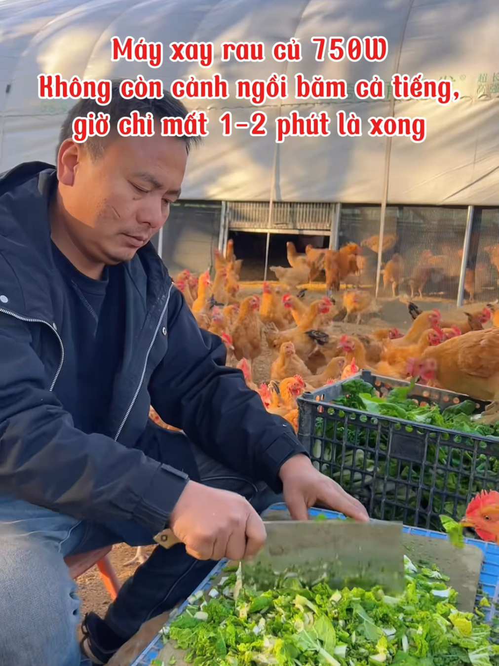 Tạm biệt cảnh băm thái mỏi tay!  #xuhuong #mayxayraucu #mayxaydanang #channuoi #nongthon 